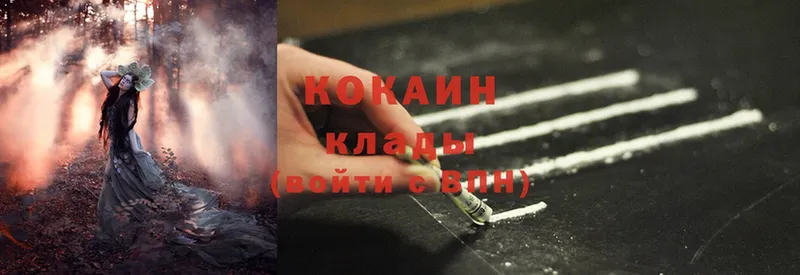 Cocaine FishScale  наркотики  Богданович 